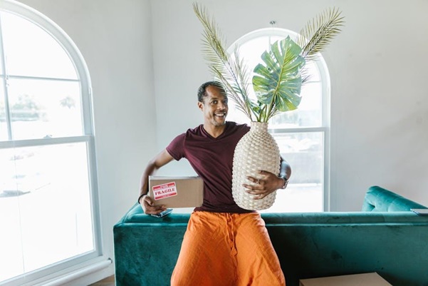 Why Buying Plants Online Is a Great Choice – Easy, Diverse, and Reliable